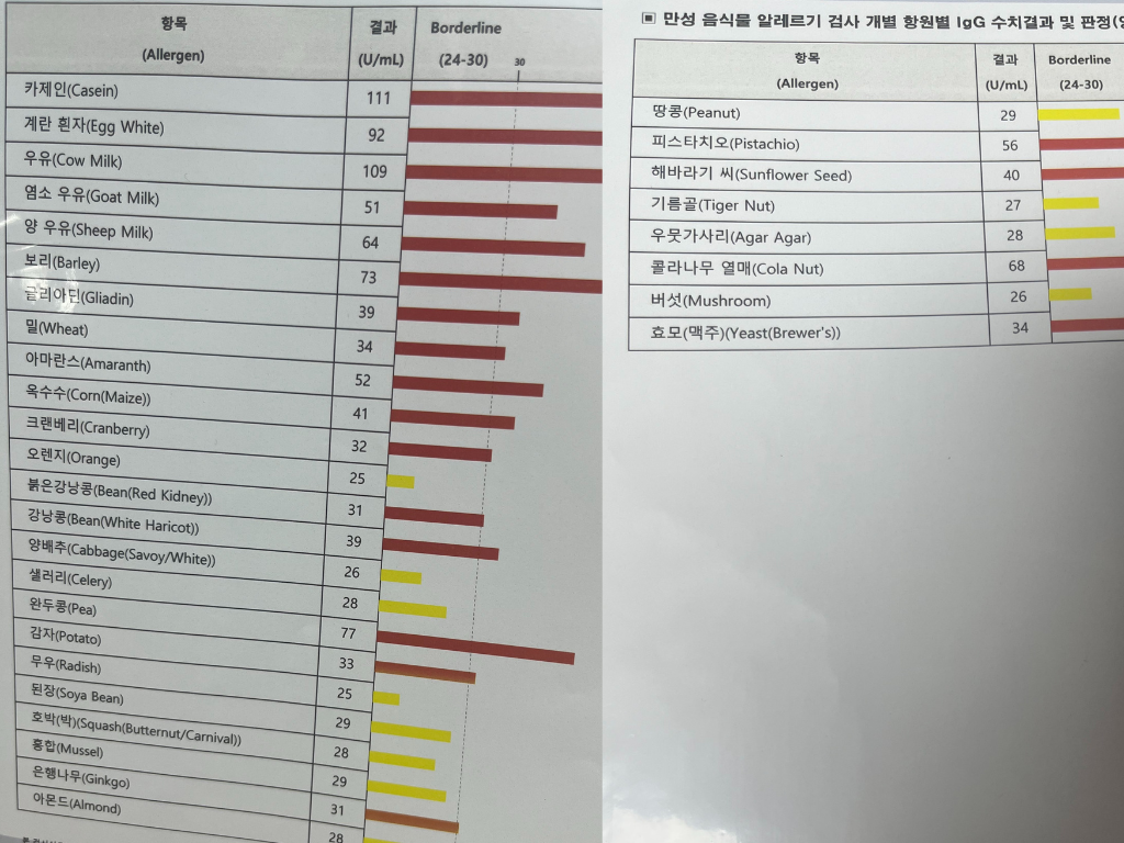 키토 다이어트 정체기의 원인을 알아보기 위한 지연성 알러지 검사