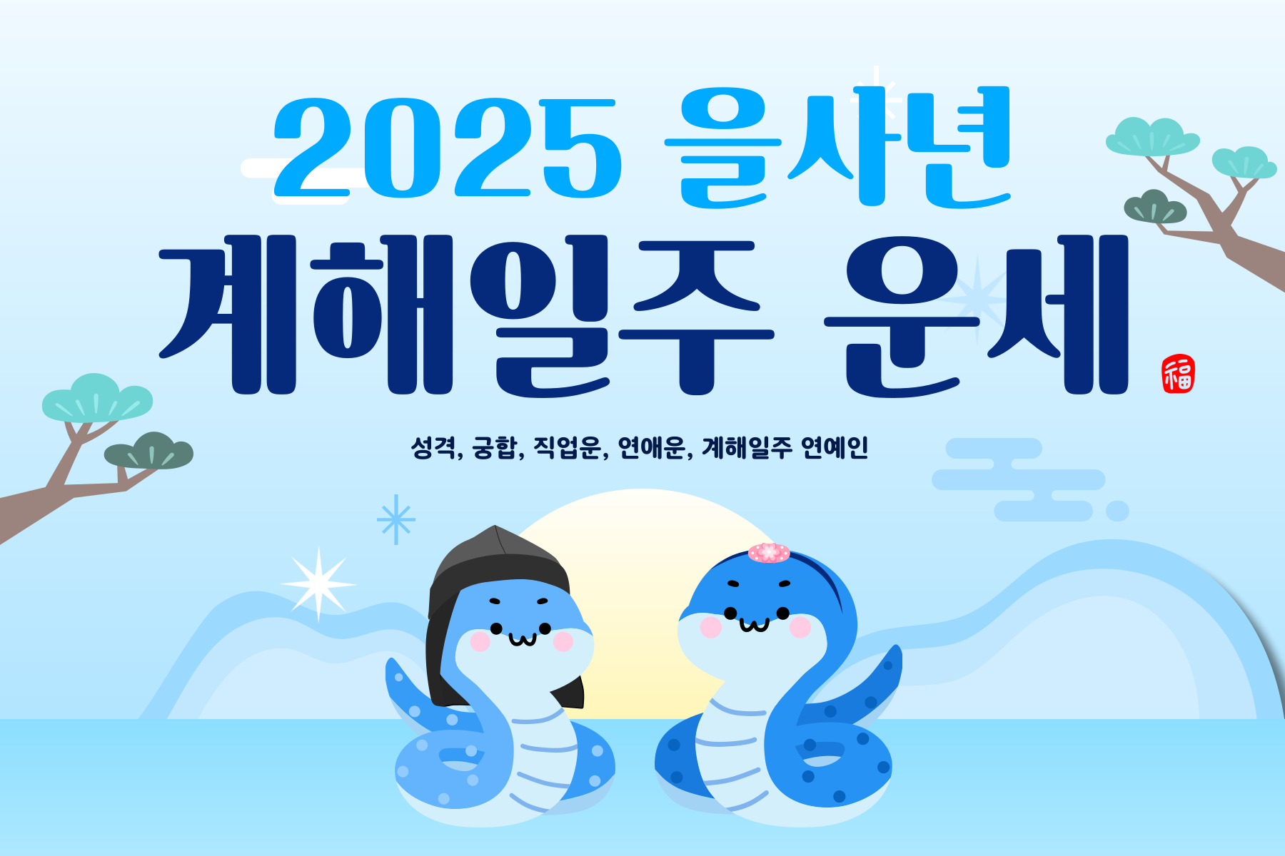 2025년 을사년 계해일주 운세