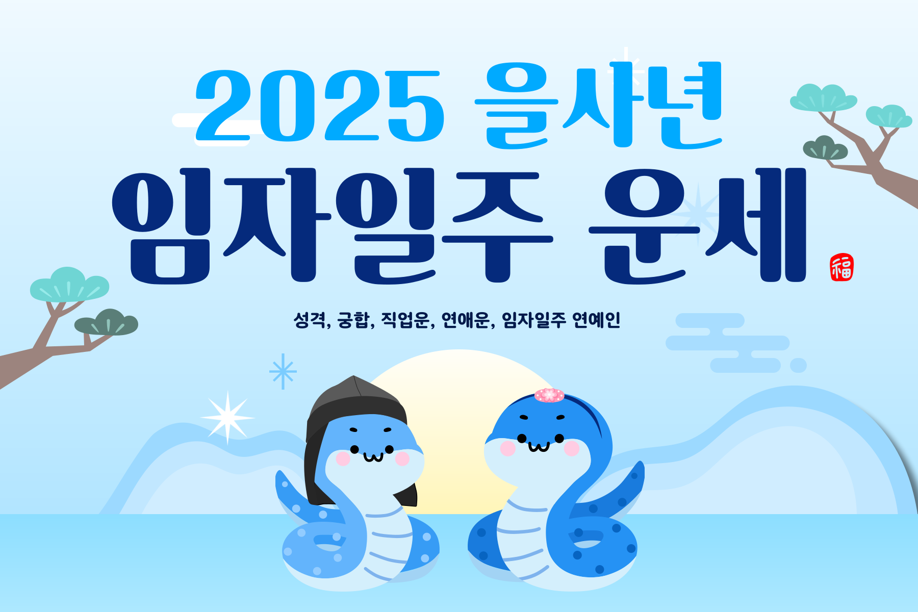 2025년 을사년 임자일주 운세 004
