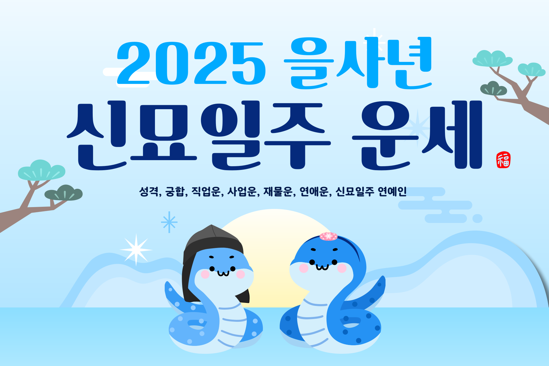 2025년 을사년 신묘일주 운세 007