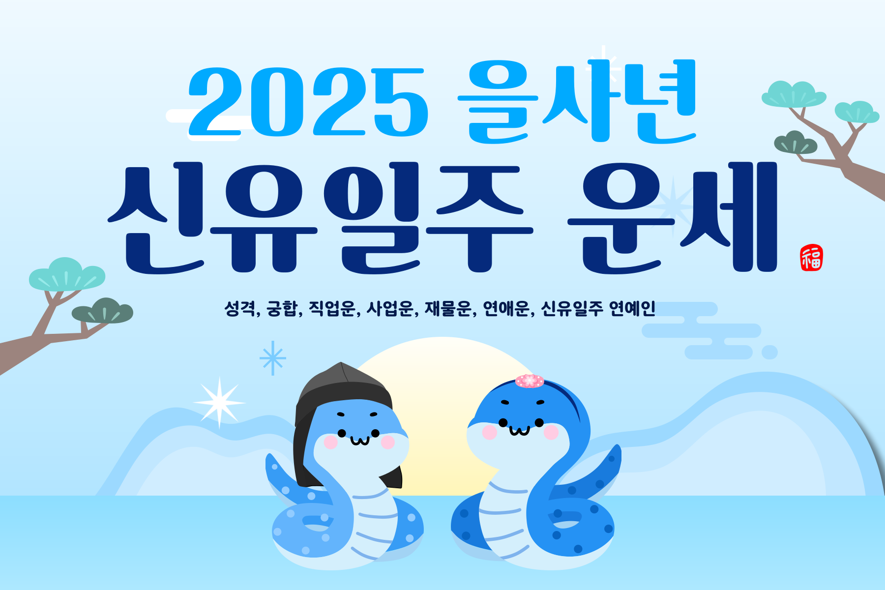 2025년 을사년 신유일주 운세