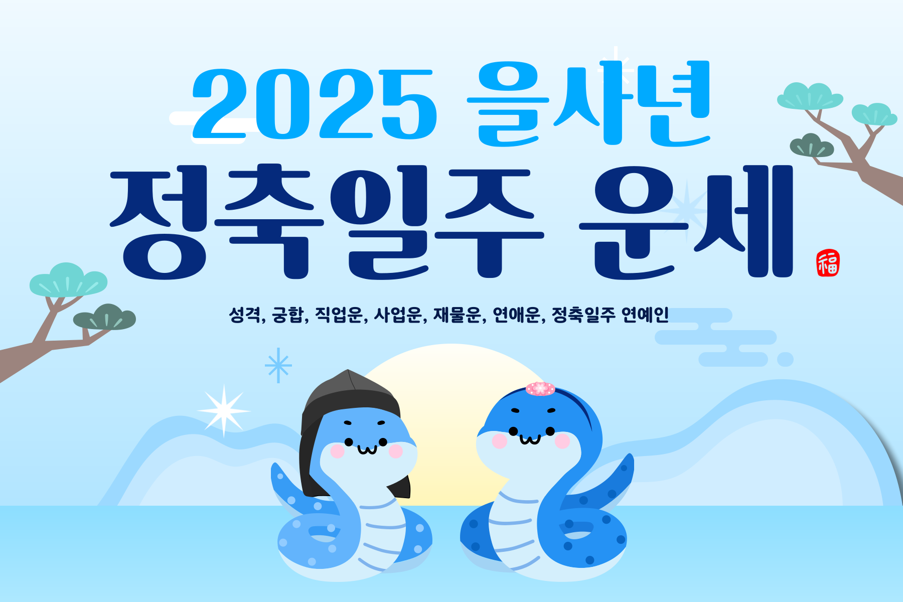 2025년 을사년 정축일주 운세 006