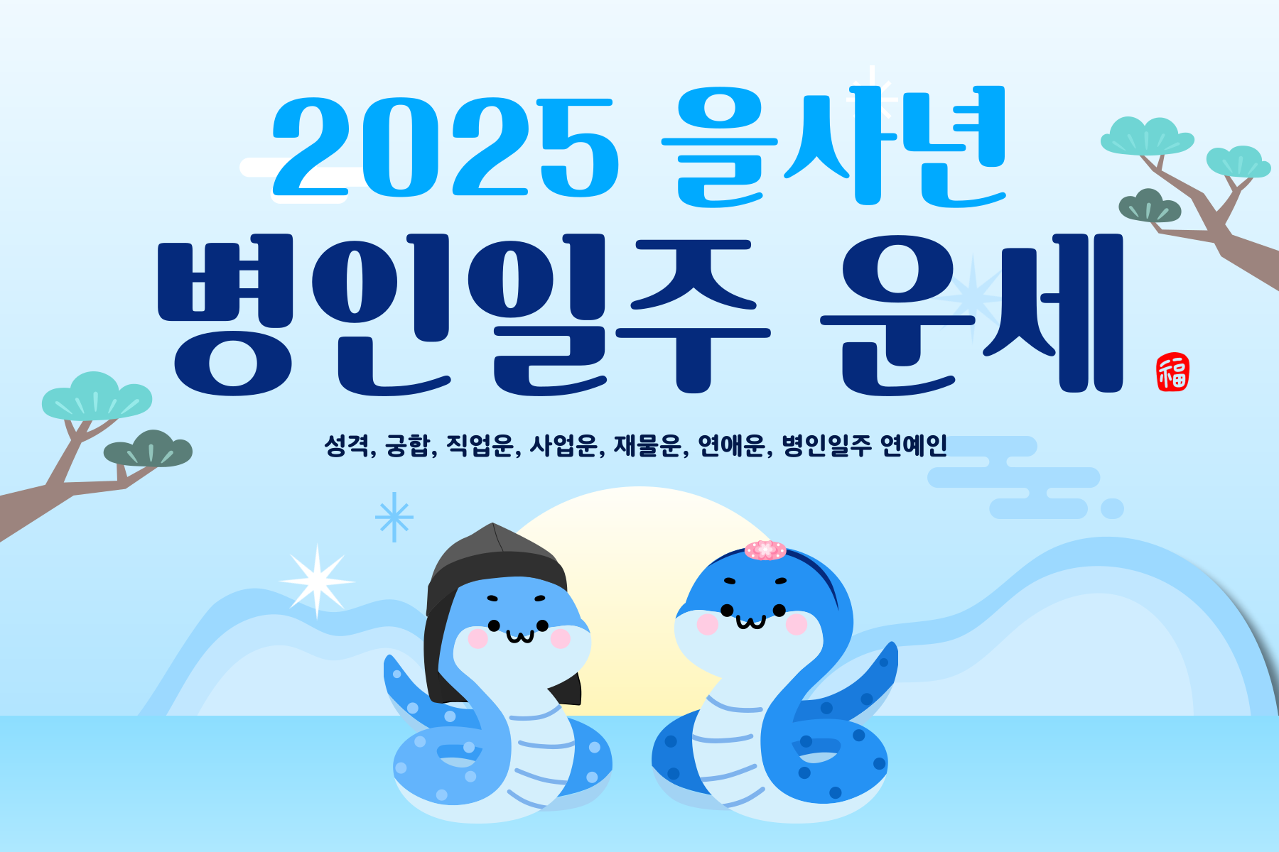 2025년-을사년-병인일주-운세-024